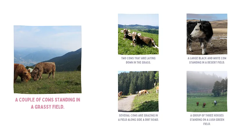 Image search results